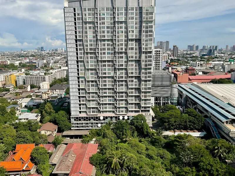 Q House Sukhumvit 79 : คิวเฮาส์ สุขุมวิท 79, กรุงเทพ, 2059 ถนนสุขุมวิท, พระโขนงเหนือ, วัฒนา, กรุงเทพ, 31 ตร.ม., คอนโด ให้เช่า, โดย Nat Tantirapan, 500604957 - DDproperty.com