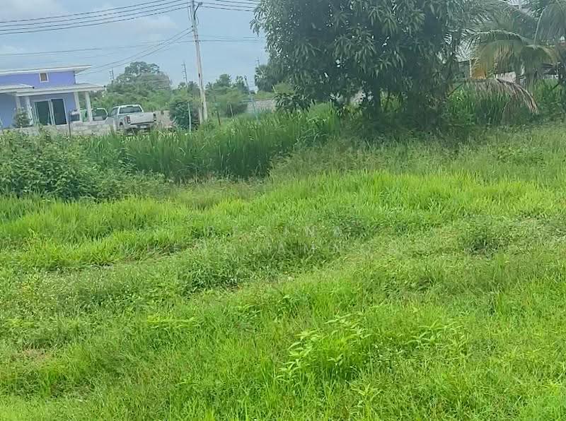 Huay Yai K9 Land for Sales, ชลบุรี, ห้วยใหญ่, หนองปรือ, บางละมุง, ชลบุรี, 608 ตร.ม., ที่ดิน ขาย, โดย Regina Nuengjamnong, 500604998 - DDproperty.com