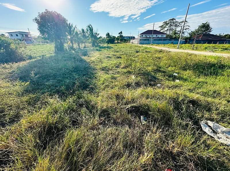 Huay Yai K9 Land for Sales, ชลบุรี, ห้วยใหญ่, หนองปรือ, บางละมุง, ชลบุรี, 608 ตร.ม., ที่ดิน ขาย, โดย Regina Nuengjamnong, 500604998 - DDproperty.com