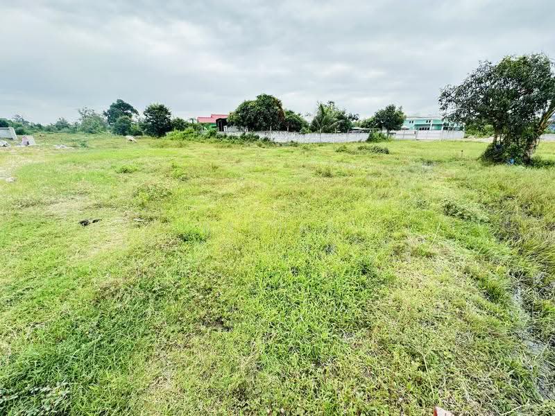 land, chon-buri, ห้วยใหญ่, Nong Pru, Bang Lamung (Pattaya), Chon Buri (Pattaya), , 608 sqm, Land For Sale, by Regina Nuengjamnong, 500604998 - DDproperty.com