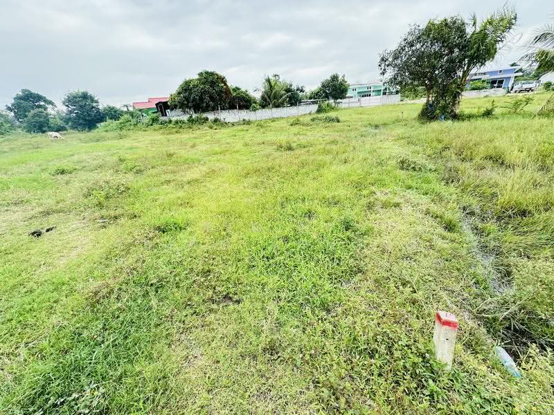 land, chon-buri, ห้วยใหญ่, Nong Pru, Bang Lamung (Pattaya), Chon Buri (Pattaya), , 608 sqm, Land For Sale, by Regina Nuengjamnong, 500604998 - DDproperty.com