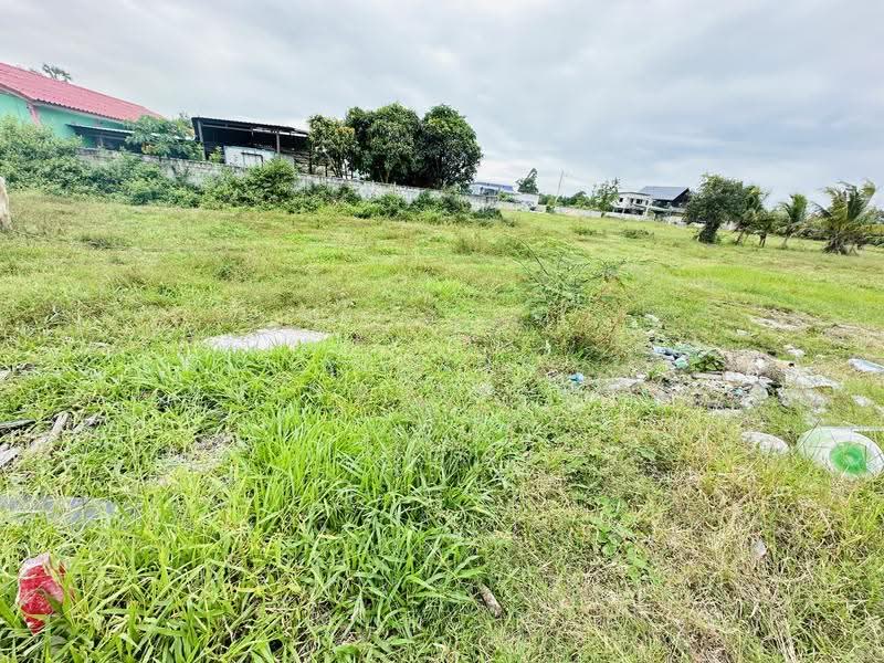 Huay Yai K9 Land for Sales, ชลบุรี, ห้วยใหญ่, หนองปรือ, บางละมุง, ชลบุรี, 608 ตร.ม., ที่ดิน ขาย, โดย Regina Nuengjamnong, 500604998 - DDproperty.com