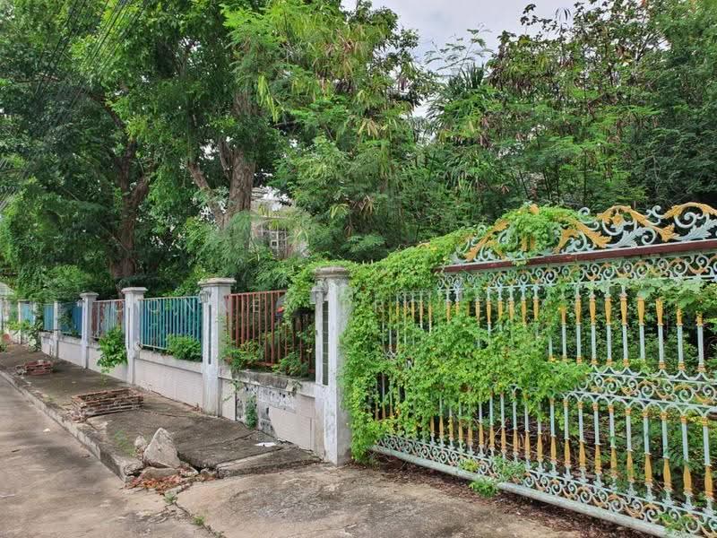 เศรณี ลากูน, นนทบุรี, เต็มรัก - บางบัวทอง, บางรักพัฒนา, บางบัวทอง, นนทบุรี, 154 ตร.ม., บ้านเดี่ยว ขาย, โดย Connex Property, 500605538 - DDproperty.com