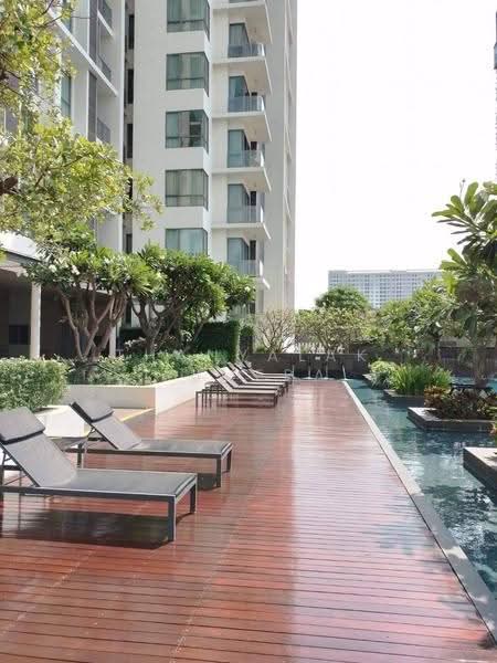 The Room Sukhumvit 62 : เดอะรูม สุขุมวิท 62, กรุงเทพ, 2288 ถ.สุขุมวิท, บางจาก, พระโขนง, กรุงเทพ, 45 ตร.ม., คอนโด ขาย, โดย Thanyalak Ajmera, 500605586 - DDproperty.com
