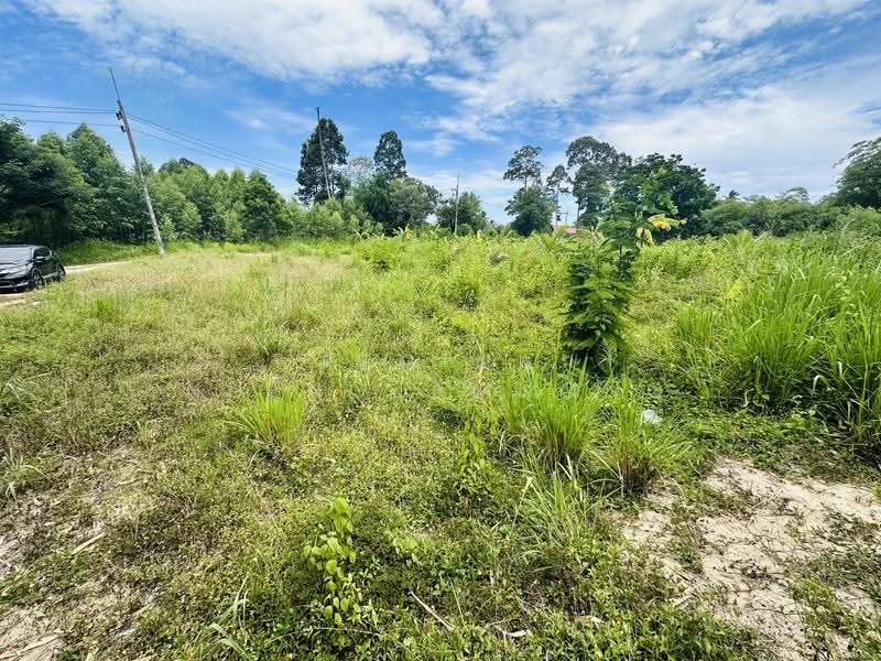 Land for Sale – Huai Yai- Huai Yai Chin, ชลบุรี, บางละมุง, ชลบุรี, 800 ตร.ม., ที่ดิน ขาย, โดย Regina Nuengjamnong, 500605626 - DDproperty.com
