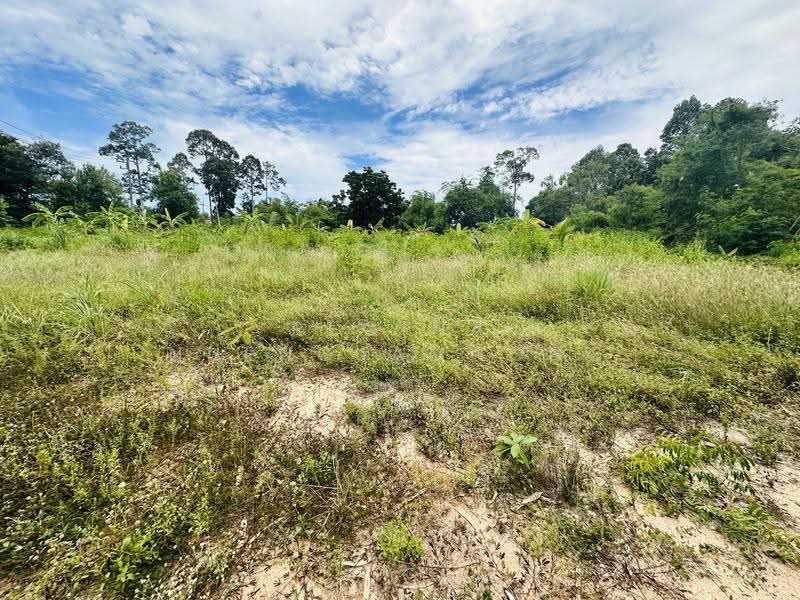 Land for Sale – Huai Yai- Huai Yai Chin, ชลบุรี, บางละมุง, ชลบุรี, 800 ตร.ม., ที่ดิน ขาย, โดย Regina Nuengjamnong, 500605626 - DDproperty.com