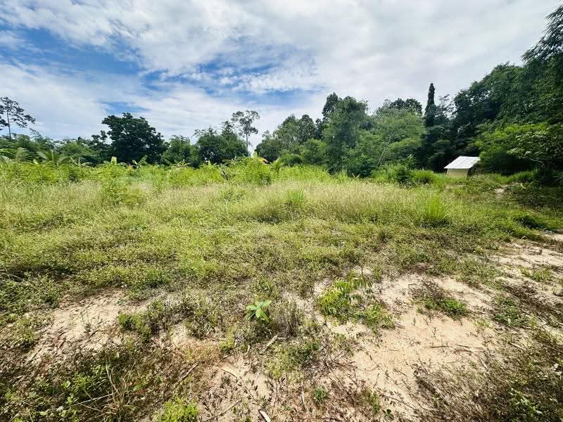 Land for Sale – Huai Yai- Huai Yai Chin, ชลบุรี, บางละมุง, ชลบุรี, 800 ตร.ม., ที่ดิน ขาย, โดย Regina Nuengjamnong, 500605626 - DDproperty.com