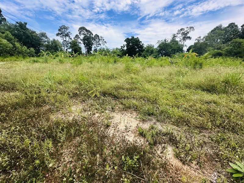 land, chon-buri, Bang Lamung, Bang Lamung (Pattaya), Chon Buri (Pattaya), , 800 sqm, Land For Sale, by Regina Nuengjamnong, 500605626 - DDproperty.com