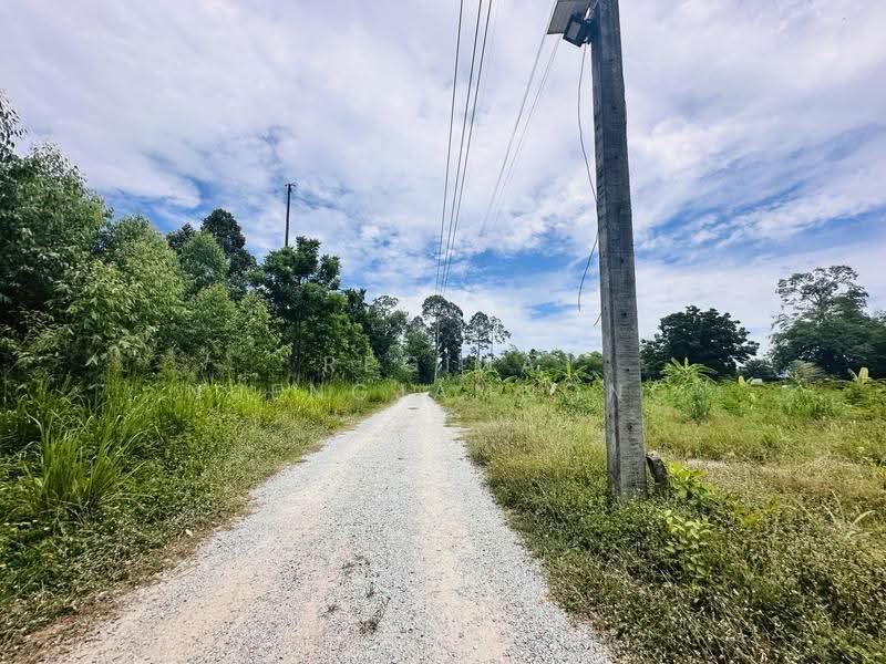land, chon-buri, Bang Lamung, Bang Lamung (Pattaya), Chon Buri (Pattaya), , 800 sqm, Land For Sale, by Regina Nuengjamnong, 500605626 - DDproperty.com