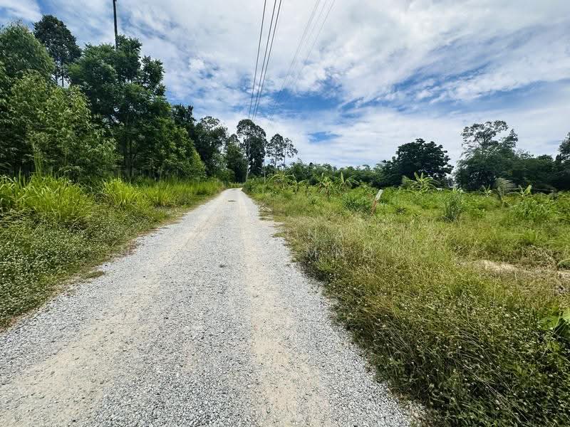 Land for Sale – Huai Yai- Huai Yai Chin, ชลบุรี, บางละมุง, ชลบุรี, 800 ตร.ม., ที่ดิน ขาย, โดย Regina Nuengjamnong, 500605626 - DDproperty.com