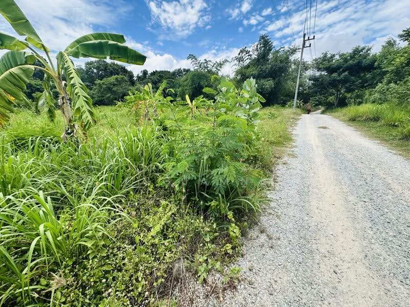 land, chon-buri, Bang Lamung, Bang Lamung (Pattaya), Chon Buri (Pattaya), , 800 sqm, Land For Sale, by Regina Nuengjamnong, 500605626 - DDproperty.com