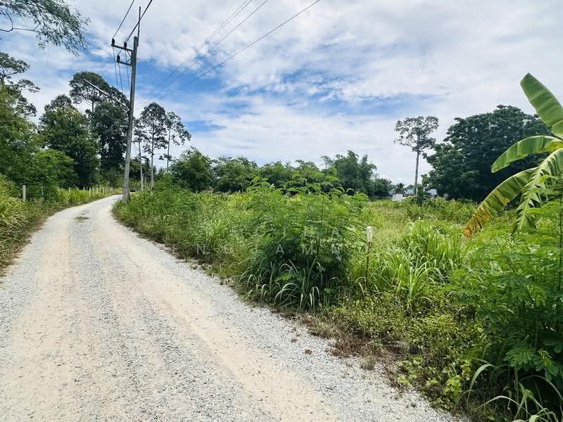 land, chon-buri, Bang Lamung, Bang Lamung (Pattaya), Chon Buri (Pattaya), , 800 sqm, Land For Sale, by Regina Nuengjamnong, 500605626 - DDproperty.com