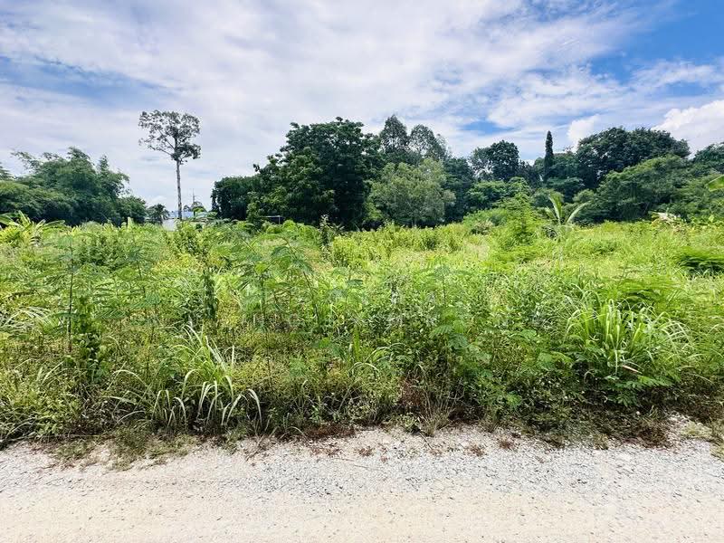 land, chon-buri, Bang Lamung, Bang Lamung (Pattaya), Chon Buri (Pattaya), , 800 sqm, Land For Sale, by Regina Nuengjamnong, 500605626 - DDproperty.com