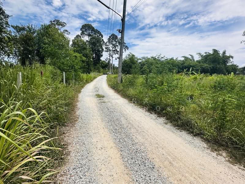 land, chon-buri, Bang Lamung, Bang Lamung (Pattaya), Chon Buri (Pattaya), , 800 sqm, Land For Sale, by Regina Nuengjamnong, 500605626 - DDproperty.com