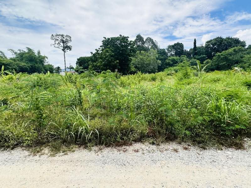 land, chon-buri, Bang Lamung, Bang Lamung (Pattaya), Chon Buri (Pattaya), , 800 sqm, Land For Sale, by Regina Nuengjamnong, 500605626 - DDproperty.com