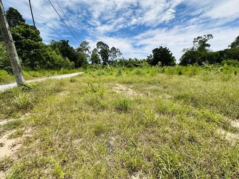 Land for Sale – Huai Yai- Huai Yai Chin, ชลบุรี, บางละมุง, ชลบุรี, 800 ตร.ม., ที่ดิน ขาย, โดย Regina Nuengjamnong, 500605626 - DDproperty.com