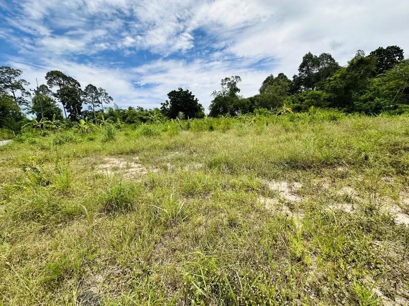 Land for Sale – Huai Yai- Huai Yai Chin, ชลบุรี, บางละมุง, ชลบุรี, 800 ตร.ม., ที่ดิน ขาย, โดย Regina Nuengjamnong, 500605626 - DDproperty.com