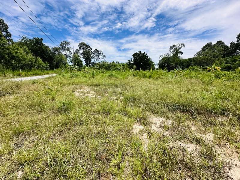 Land for Sale – Huai Yai- Huai Yai Chin, ชลบุรี, บางละมุง, ชลบุรี, 800 ตร.ม., ที่ดิน ขาย, โดย Regina Nuengjamnong, 500605626 - DDproperty.com