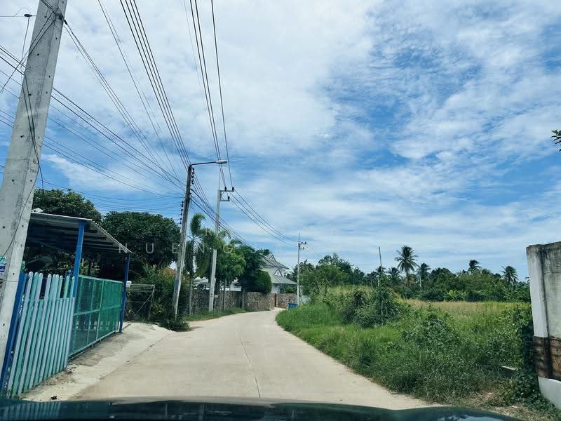 land, chon-buri, Bang Lamung, Bang Lamung (Pattaya), Chon Buri (Pattaya), , 800 sqm, Land For Sale, by Regina Nuengjamnong, 500605626 - DDproperty.com