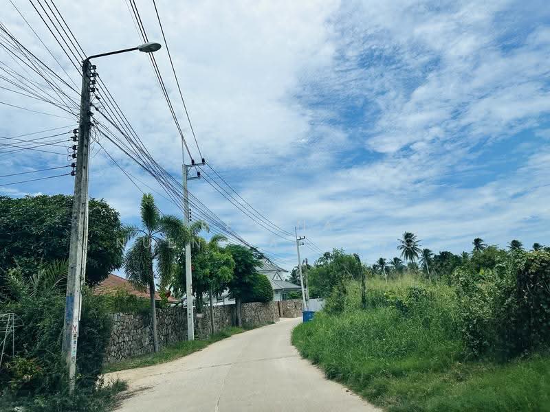land, chon-buri, Bang Lamung, Bang Lamung (Pattaya), Chon Buri (Pattaya), , 800 sqm, Land For Sale, by Regina Nuengjamnong, 500605626 - DDproperty.com