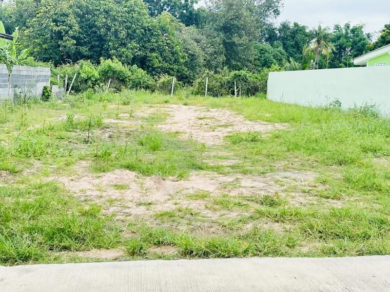 land, chon-buri, Nong Pru, Bang Lamung (Pattaya), Chon Buri (Pattaya), , 400 sqm, Land For Sale, by Regina Nuengjamnong, 500606024 - DDproperty.com