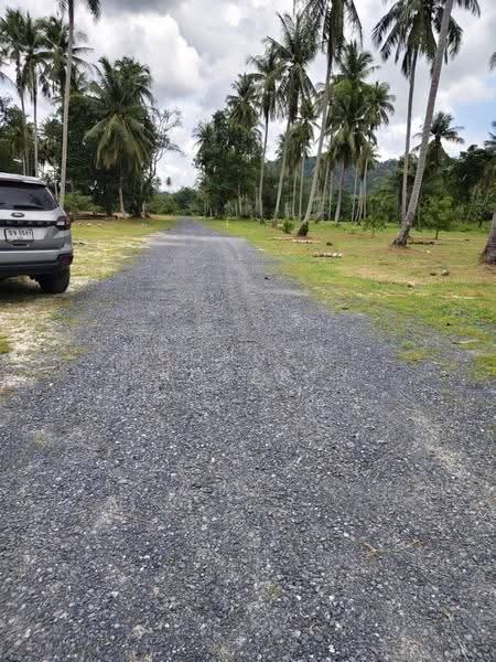 Land for sell Plakok Thalang Phuket, Phuket, -, Pa Khlok, Thalang, Phuket, , 1,600 sqm, Land For Sale, by Connex Property, 500606158 - DDproperty.com