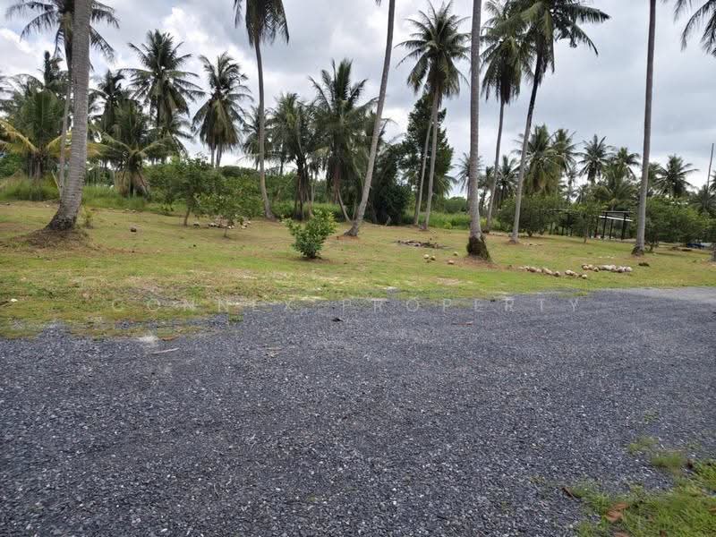 Land for sell Plakok Thalang Phuket, Phuket, -, Pa Khlok, Thalang, Phuket, , 1,600 sqm, Land For Sale, by Connex Property, 500606158 - DDproperty.com