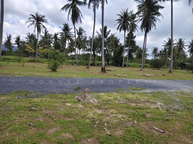 Land for sell Plakok Thalang Phuket, Phuket, -, Pa Khlok, Thalang, Phuket, , 1,600 sqm, Land For Sale, by Connex Property, 500606158 - DDproperty.com