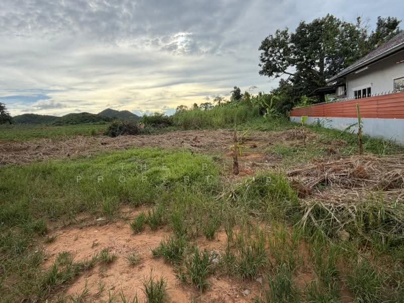 ที่ดินสัตหีบ ชลบุรี, chon-buri, Bang Sa-re, Sattahip, Chon Buri (Pattaya), , 400 sqm, Land For Sale, by The Best Property อ้อย, 500606238 - DDproperty.com