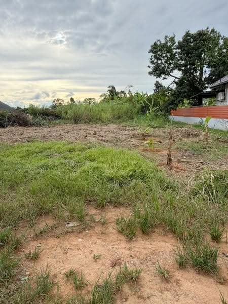 ที่ดินสัตหีบ ชลบุรี, chon-buri, Bang Sa-re, Sattahip, Chon Buri (Pattaya), , 400 sqm, Land For Sale, by The Best Property อ้อย, 500606238 - DDproperty.com