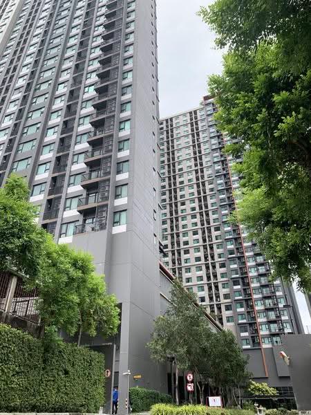 Life Asoke, Bangkok, Asoke-Dindang Road, Bang Kapi, Huai Khwang, Bangkok, 2 Bedrooms, 55 sqm, Condo For Rent, by เมธี รังษีวงศ์, 500606631 - DDproperty.com
