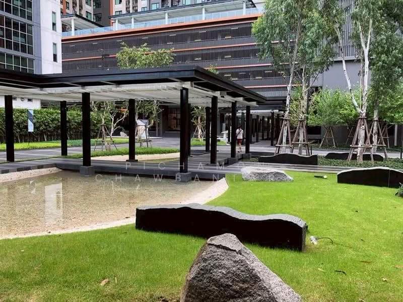 Life Asoke, Bangkok, Asoke-Dindang Road, Bang Kapi, Huai Khwang, Bangkok, 1 Bedroom, 36 sqm, Condo For Rent, by Pichamon Chawbantard, 500606978 - DDproperty.com