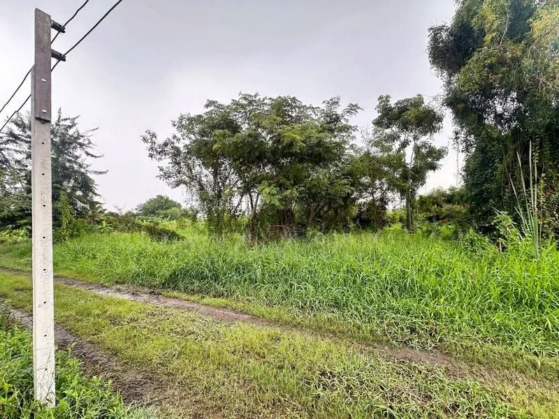 ขาย ที่ดินเปล่าซอยแบนชาโด 6 คลองสามวา ย่านนิมิตใหม่ กทม. ใกล้ถนนวัดสุขใจ เนื้อที่ 363 ตรว. ราคาต่อรอ, กรุงเทพ, สามวาตะวันออก, คลองสามวา, กรุงเทพ, 1,452 ตร.ม., ที่ดิน ขาย, โดย Khun Korn, 500607659 - DDproperty.com