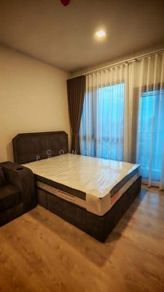 The Tree Pattanakarn-Ekkamai, Bangkok, 89 Phatthanakan Road, Suan Luang, Bangkok, 1 Bedroom, 28 sqm, Condo For Rent, by Connex Property, 500608023 - DDproperty.com