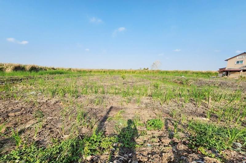 ซอยรังสิต-นครนายก 17, Pathum Thani, Rangsit, Thanyaburi, Pathum Thani, , 4,444 sqm, Land For Sale, by คุณมิว, 500608177 - DDproperty.com