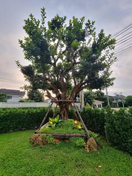 Perfect Masterpiece Sukhumvit 77 : เพอร์เฟค มาสเตอร์พีซ สุขุมวิท 77, สมุทรปราการ, ซอย หมู่บ้านเพอร์เฟคเพลส สุขุมวิท 77, ราชาเทวะ, บางพลี, สมุทรปราการ, 650 ตร.ม., บ้านเดี่ยว ให้เช่า, โดย Ploypatcha Chomchid, 500608190 - DDproperty.com