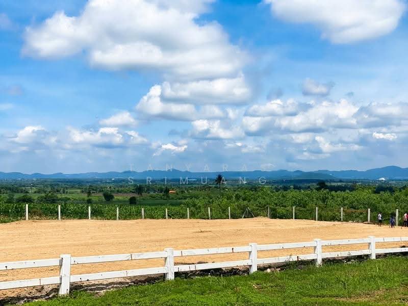 Land For U, นครราชสีมา, วังไทร, ปากช่อง, นครราชสีมา, 800 ตร.ม., ที่ดิน ขาย, โดย Tanyaras Srimuang, 500608269 - DDproperty.com