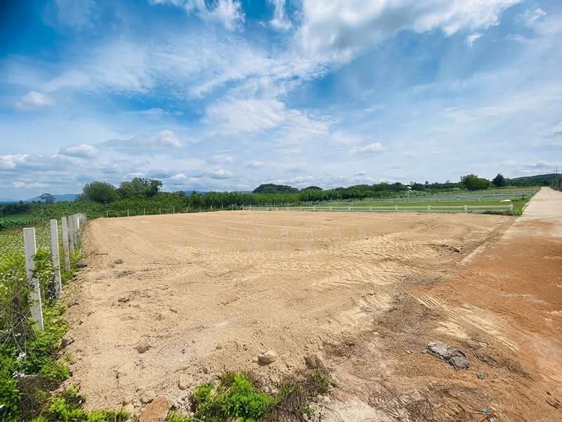 Land For U, นครราชสีมา, วังไทร, ปากช่อง, นครราชสีมา, 800 ตร.ม., ที่ดิน ขาย, โดย Tanyaras Srimuang, 500608269 - DDproperty.com