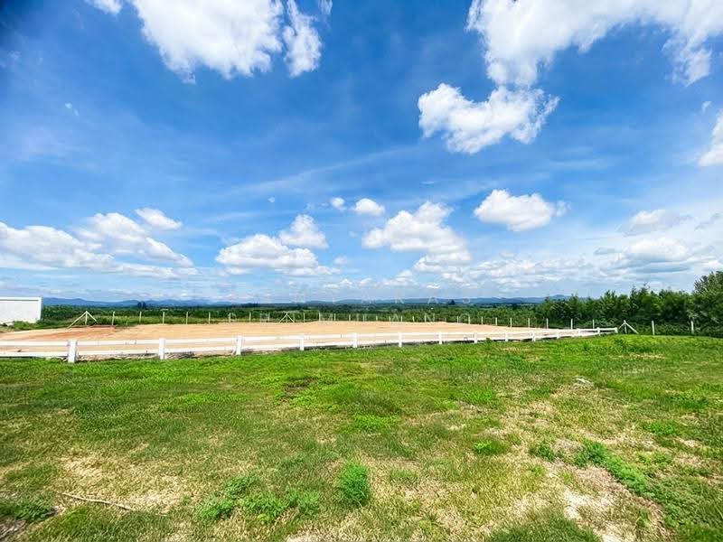 Land For U, นครราชสีมา, วังไทร, ปากช่อง, นครราชสีมา, 800 ตร.ม., ที่ดิน ขาย, โดย Tanyaras Srimuang, 500608269 - DDproperty.com