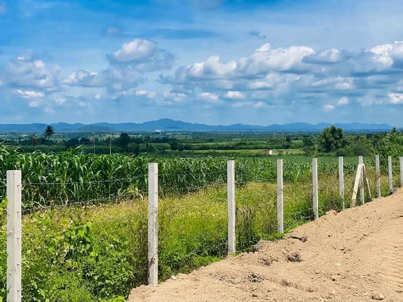 Land For U, นครราชสีมา, วังไทร, ปากช่อง, นครราชสีมา, 800 ตร.ม., ที่ดิน ขาย, โดย Tanyaras Srimuang, 500608269 - DDproperty.com