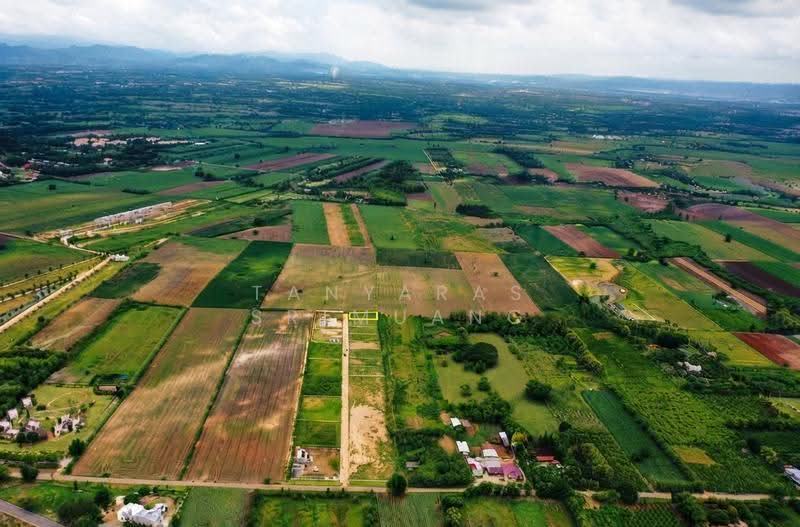 Land For U, Nakhon Ratchasima, Wang Zai, Pak Chong, Nakhon Ratchasima, , 800 sqm, Land For Sale, by Tanyaras Srimuang, 500608269 - DDproperty.com