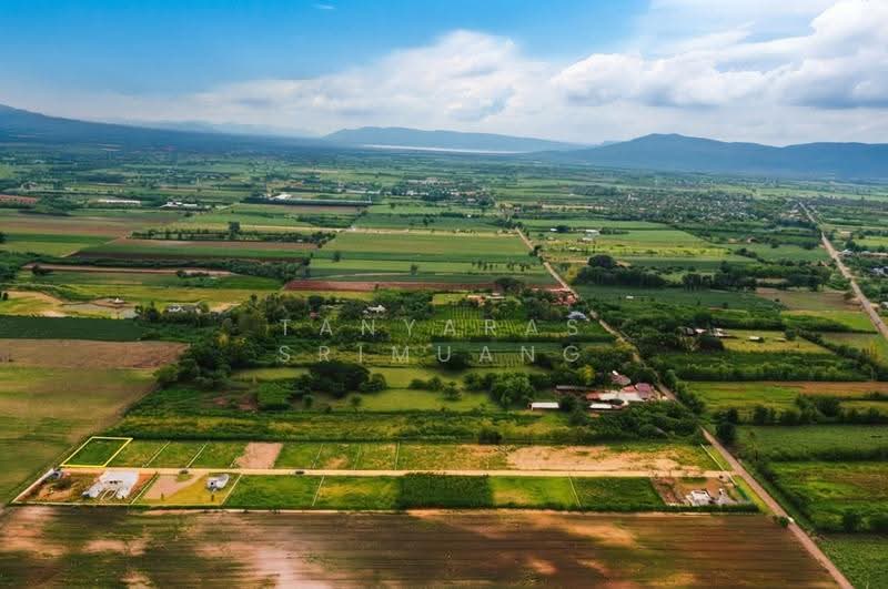 Land For U, Nakhon Ratchasima, Wang Zai, Pak Chong, Nakhon Ratchasima, , 800 sqm, Land For Sale, by Tanyaras Srimuang, 500608269 - DDproperty.com