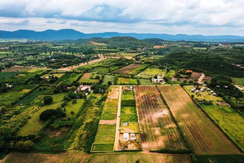 Land For U, Nakhon Ratchasima, Wang Zai, Pak Chong, Nakhon Ratchasima, , 800 sqm, Land For Sale, by Tanyaras Srimuang, 500608269 - DDproperty.com