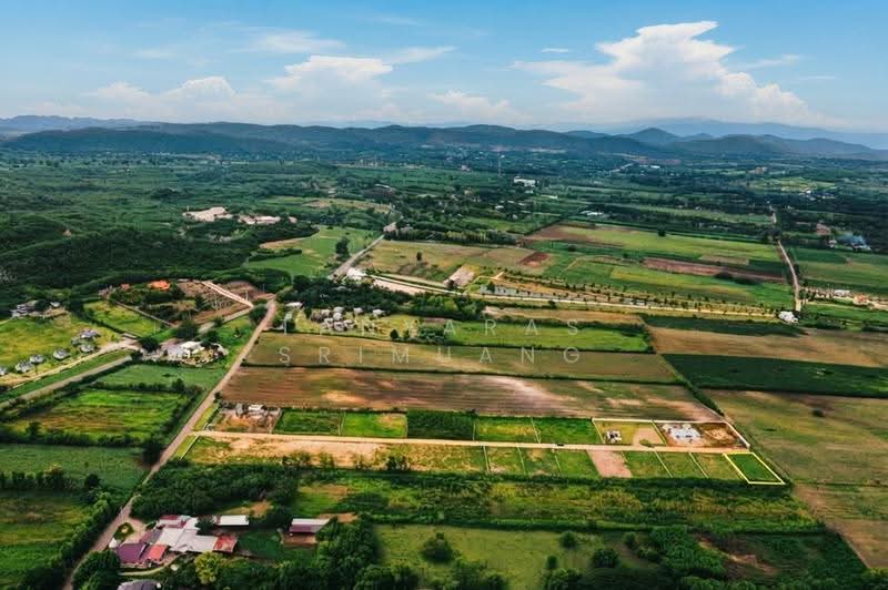 Land For U, นครราชสีมา, วังไทร, ปากช่อง, นครราชสีมา, 800 ตร.ม., ที่ดิน ขาย, โดย Tanyaras Srimuang, 500608269 - DDproperty.com