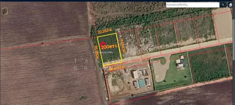 Land For U, Nakhon Ratchasima, Wang Zai, Pak Chong, Nakhon Ratchasima, , 800 sqm, Land For Sale, by Tanyaras Srimuang, 500608269 - DDproperty.com
