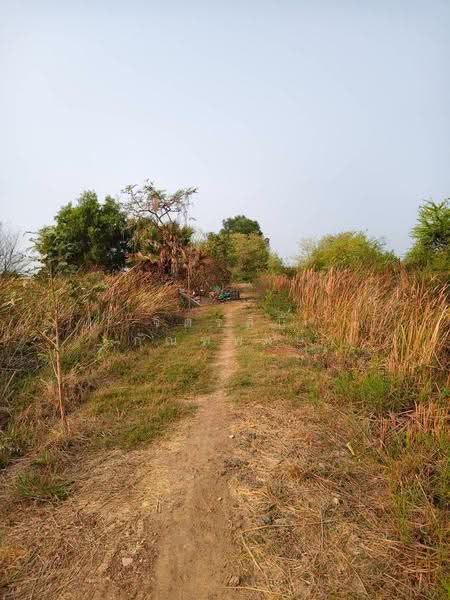 ขายที่ดินเปล่า 9 ไร่ 3 งาน 98 ตร.ว. อ.บางคล้า จ.ฉะเชิงเทรา(ต่อรองได้), ฉะเชิงเทรา, ปากน้ำ, บางคล้า, ฉะเชิงเทรา, 15,992 ตร.ม., ที่ดิน ขาย, โดย จิตรสินี กัณฑพงษ์, 500608273 - DDproperty.com