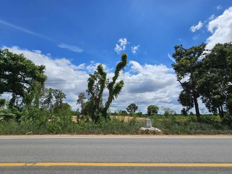 Land For U, นครราชสีมา, สุขเกษม, ปักธงชัย, นครราชสีมา, 41,584 ตร.ม., ที่ดิน ขาย, โดย Tanyaras Srimuang, 500608644 - DDproperty.com