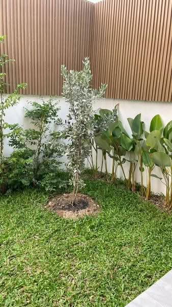 บ้านธนกฤษณ์ (Thanakrit House), เชียงใหม่, สันปูเลย, ดอยสะเก็ด, เชียงใหม่, 150 ตร.ม., บ้านเดี่ยว ให้เช่า, โดย The Positive ที่ดิน บ้าน คอนโด, 500608719 - DDproperty.com