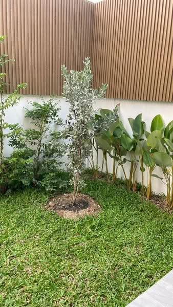 หมู่บ้านธนกฤษณ์ ท่ารั้ว–สันปูเลย, เชียงใหม่, สันปูเลย, ดอยสะเก็ด, เชียงใหม่, 130 ตร.ม., บ้านเดี่ยว ให้เช่า, โดย Suparat Mankong, 500608731 - DDproperty.com
