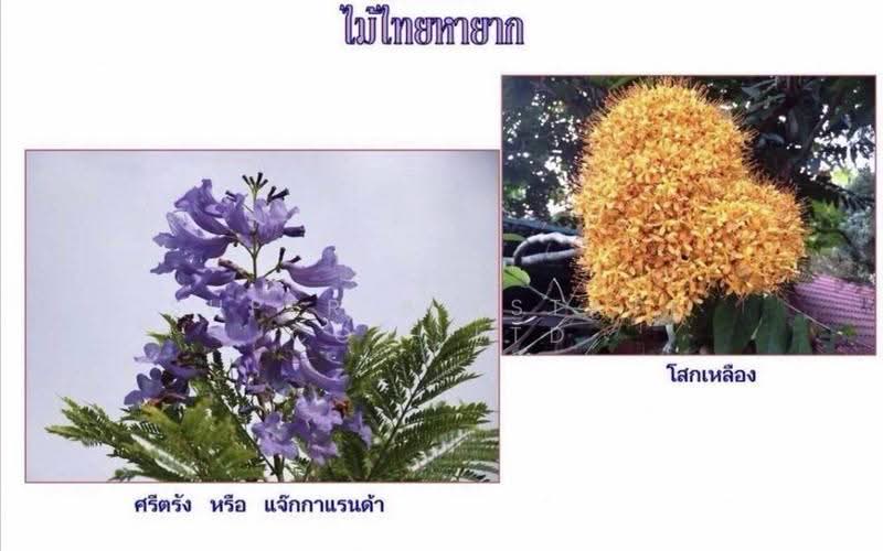 ที่ดินแก่งกระจาน, เพชรบุรี, 3499, แก่งกระจาน, เพชรบุรี, 139,776 ตร.ม., ที่ดิน ขาย, โดย Super B Estate Co., Ltd, 500609307 - DDproperty.com